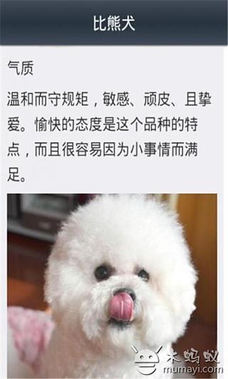 狗狗家族-犬种手册截图3