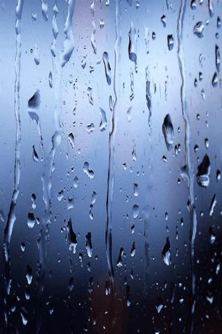 Rains Window Live Wallpaper截图1