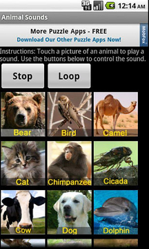 Animal Sounds截图