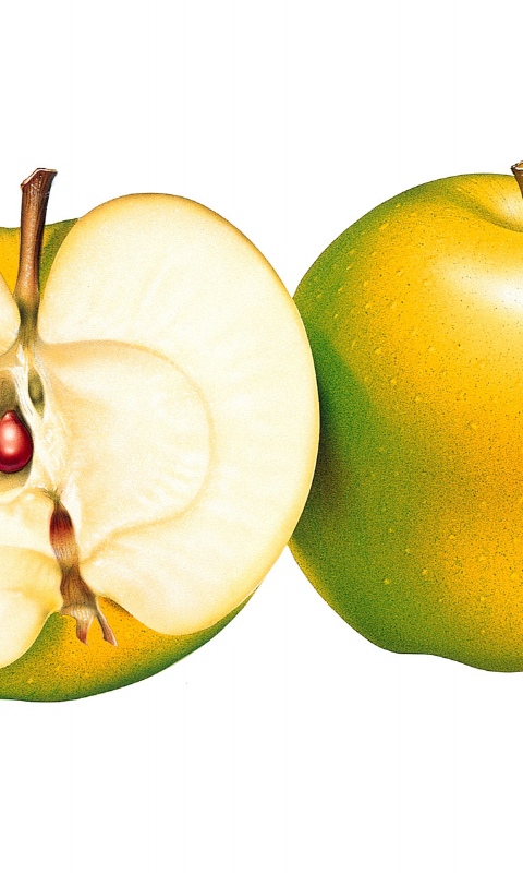 舌尖上的水果截图2