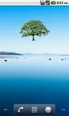 Oak Tree Summer Sticker截图1