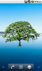 Oak Tree Summer Sticker截图3