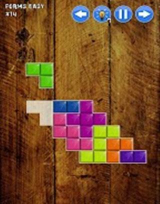 Block Fit Puzzle截图3