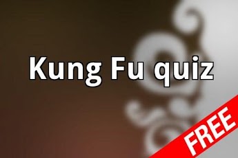 Kung Fu Quiz截图1