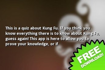 Kung Fu Quiz截图2