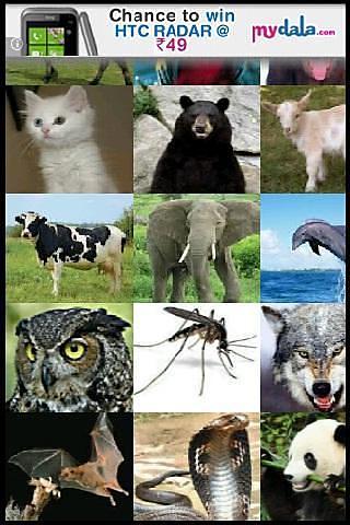 Animal Sounds Fun for kids截图1