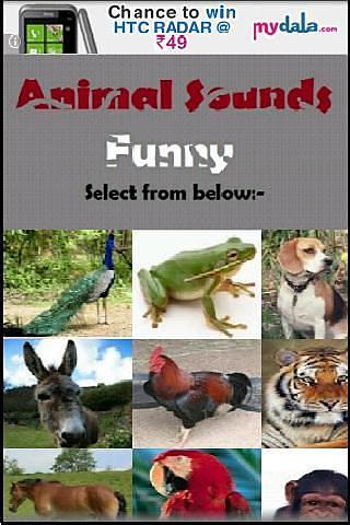 Animal Sounds Fun for kids截图2