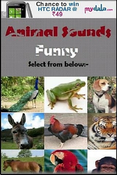Animal Sounds Fun for kids截图