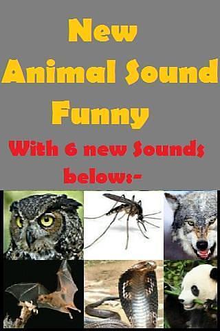 Animal Sounds Fun for kids截图3