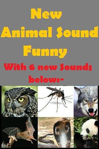Animal Sounds Fun for kids截图4
