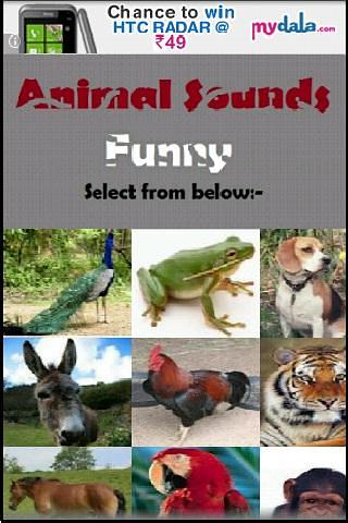 Animal Sounds Fun for kids截图6
