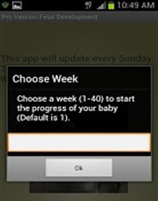 Fetal Development - Week by Week截图1