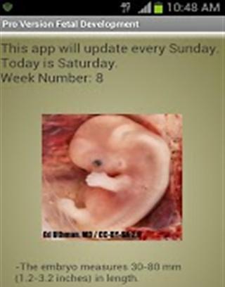 Fetal Development - Week by Week截图2