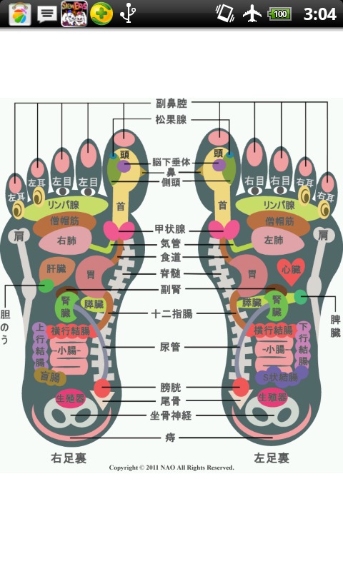 足部反射療法圖截图1