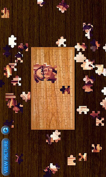 Jennifer Lopez Jigsaw HD截图