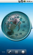 Manatee 4 Analog Clock截图3