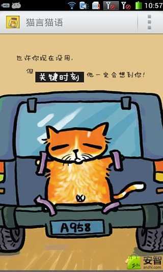 猫言猫语截图3