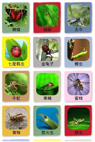 昆虫识图截图3