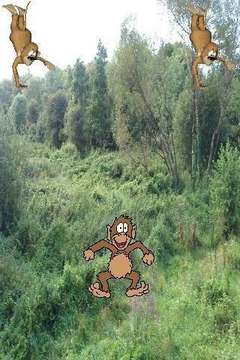 Monkey Land截图