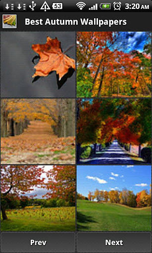 Best Autumn Wallpapers截图2