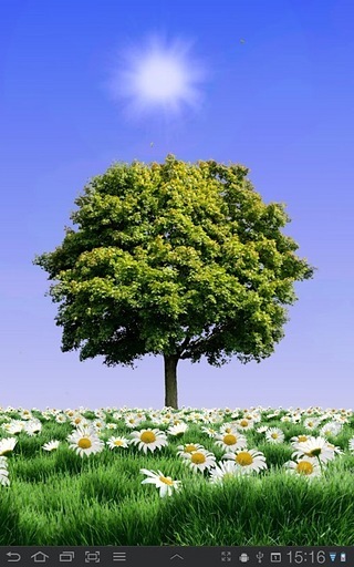 Summer Trees Free截图2