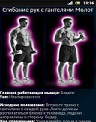 Muscle Strategy截图2