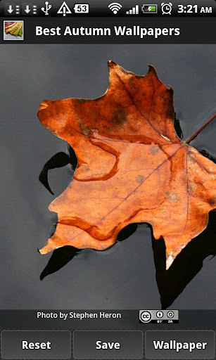 Best Autumn Wallpapers截图1