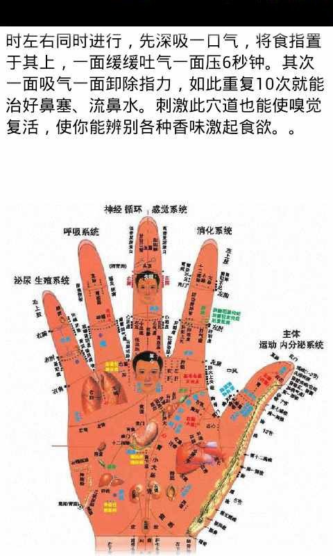 人体穴位中医按摩图截图4