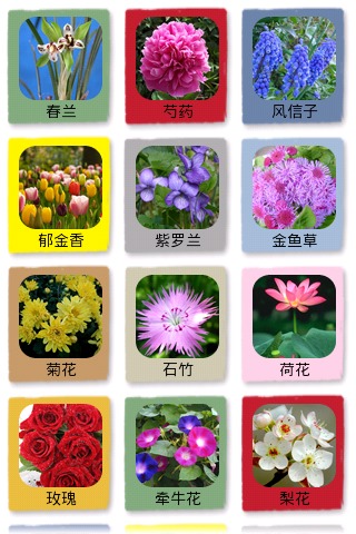 花卉识图截图7