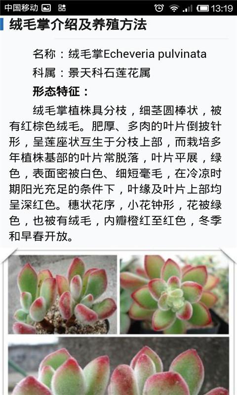 多肉植物养成记截图7