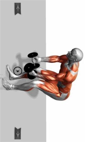 肌肉锻炼和健身截图4