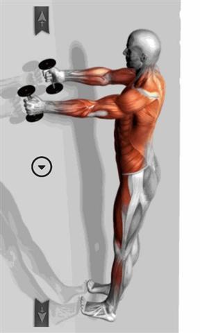 肌肉锻炼和健身截图3