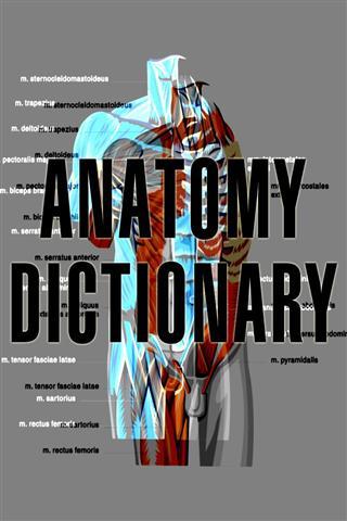 人体解剖学词典截图1