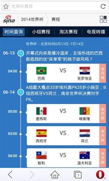 世界杯浏览器截图