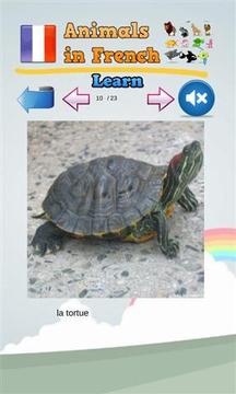 学习法语的动物发音截图