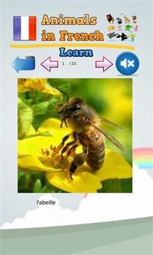 学习法语的动物发音截图