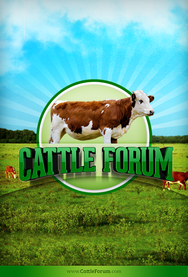 Cattle Forum截图1