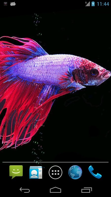 Betta Free截图3