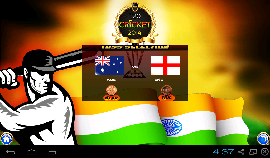 World T20 Cricket 2014截图1