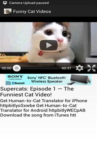 搞笑的猫视频截图3