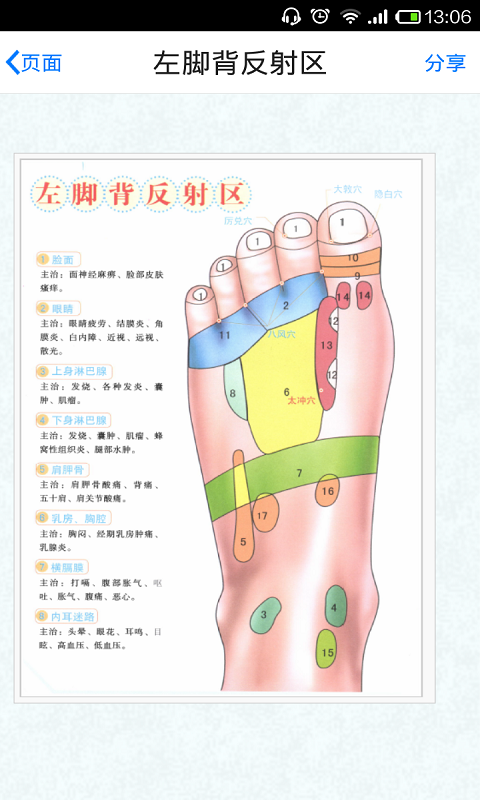 经络穴位按摩速查截图3