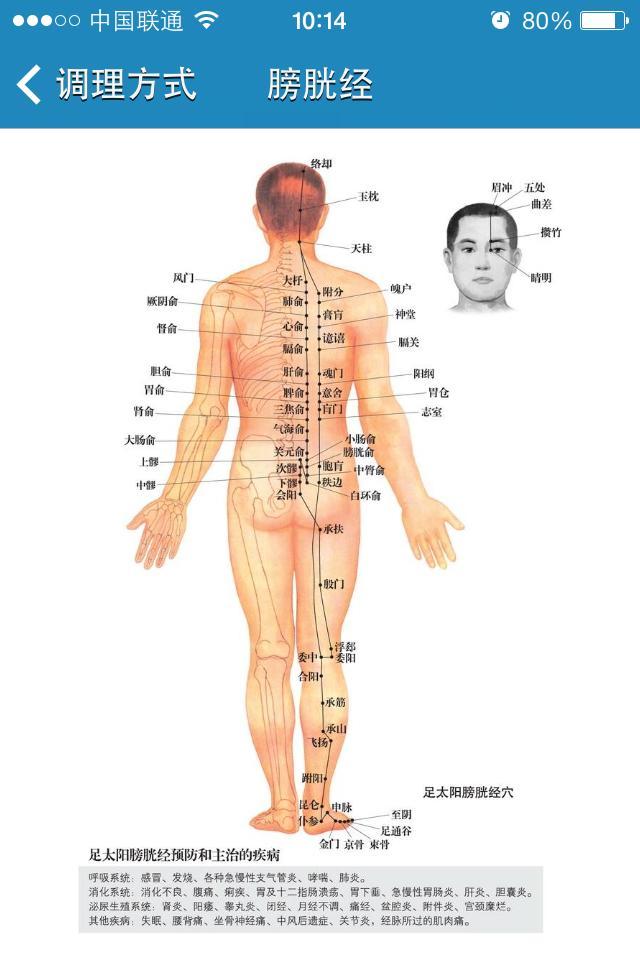 体质测试截图5