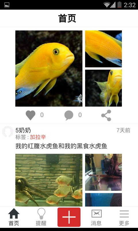 南美水族截图2