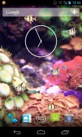 Real Aquarium Live Wallpaper截图1