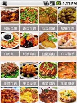 广东家常菜截图