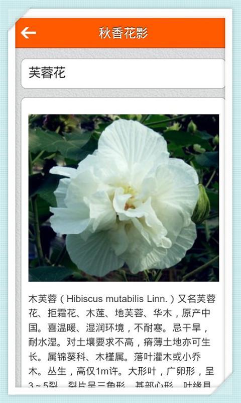 秋香花影截图3