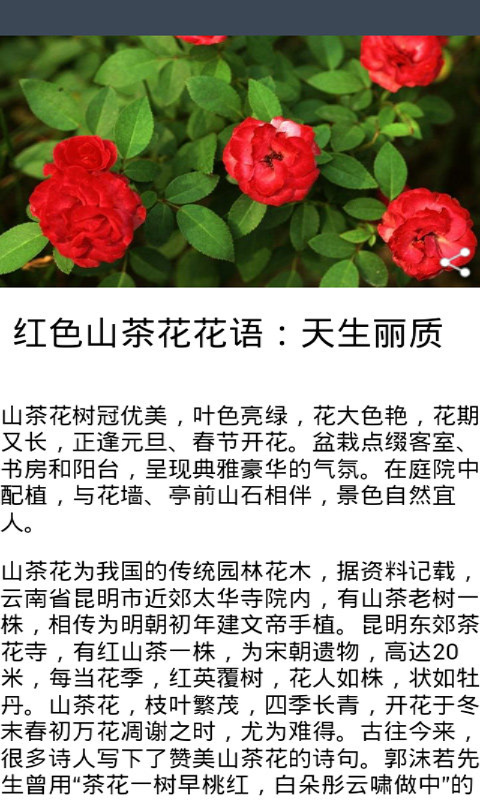 鲜花礼品商城截图2