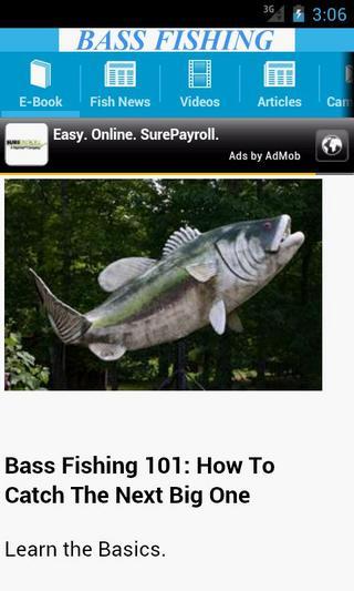 Bass Fishing截图3