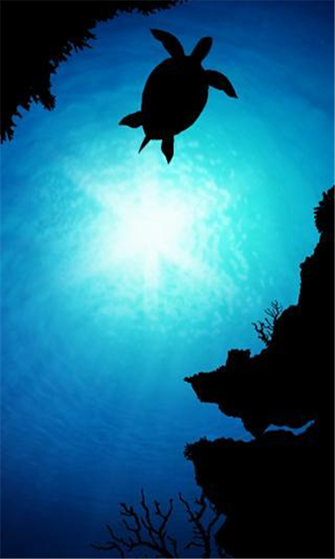 深海生物动态壁纸截图4