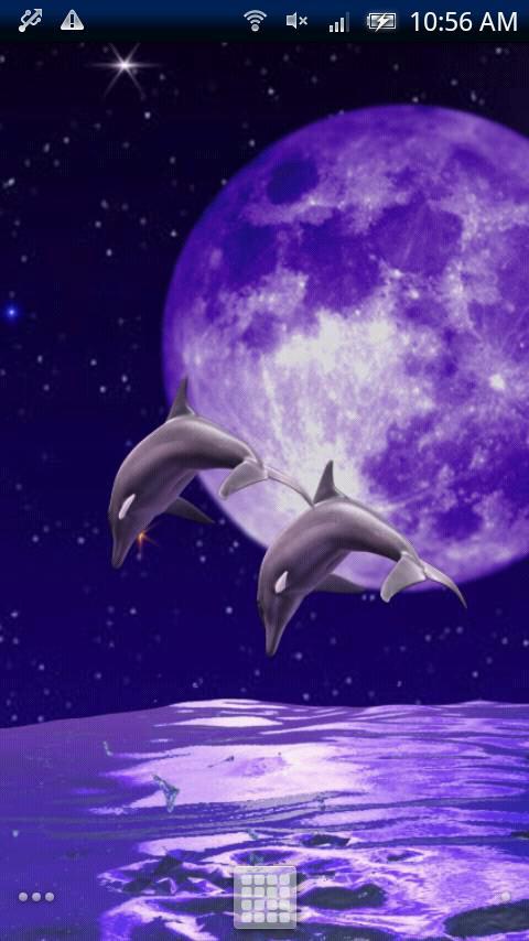 Dolphin Night Trial截图2